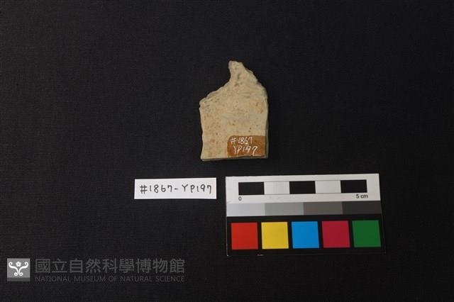 陶片藏品圖，第2張