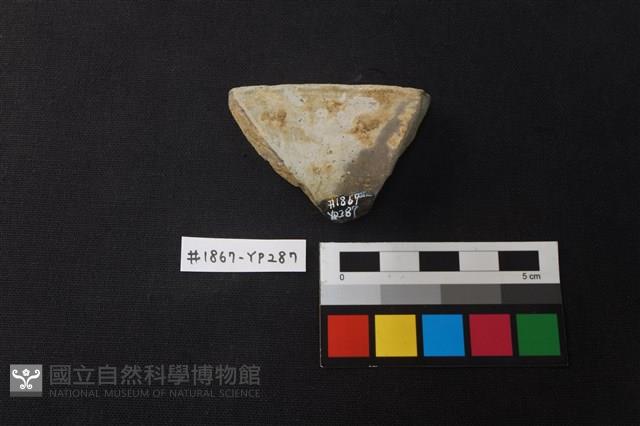陶片藏品圖，第2張