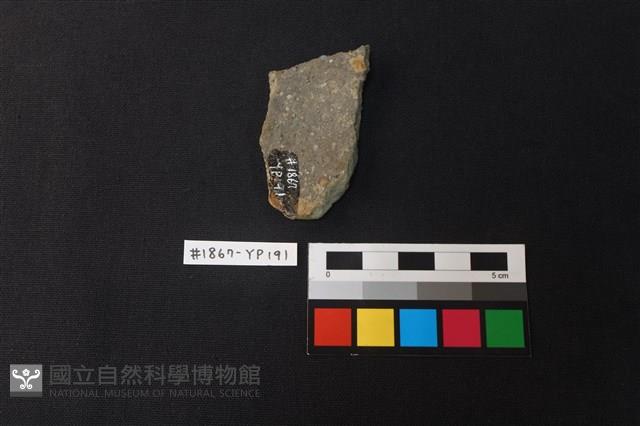 陶片藏品圖，第2張