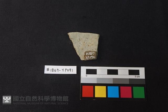 陶片藏品圖，第2張