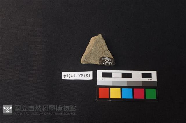 陶片藏品圖，第2張