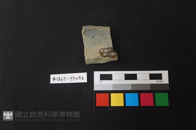 陶片藏品圖，第2張