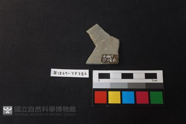 陶片藏品圖，第2張