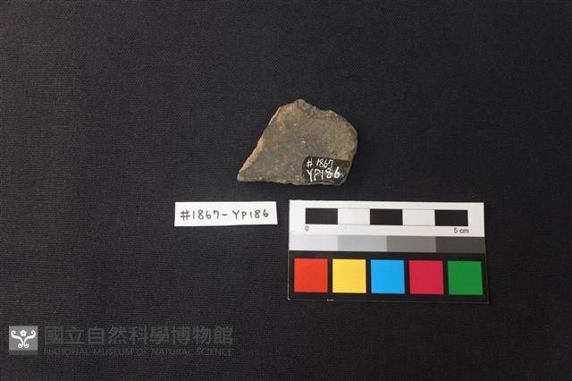 陶片藏品圖，第2張