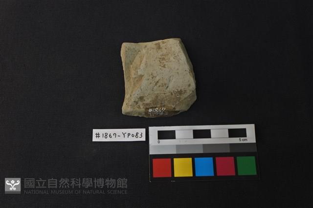 陶片藏品圖，第2張