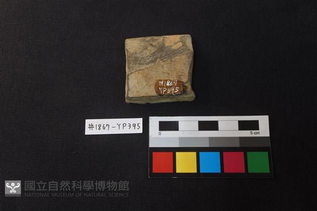 陶片藏品圖，第2張