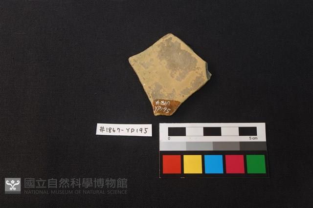 陶片藏品圖，第2張