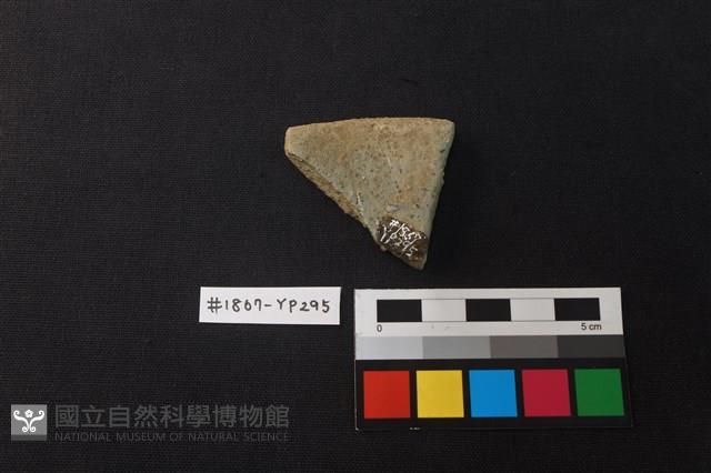 陶片藏品圖，第2張