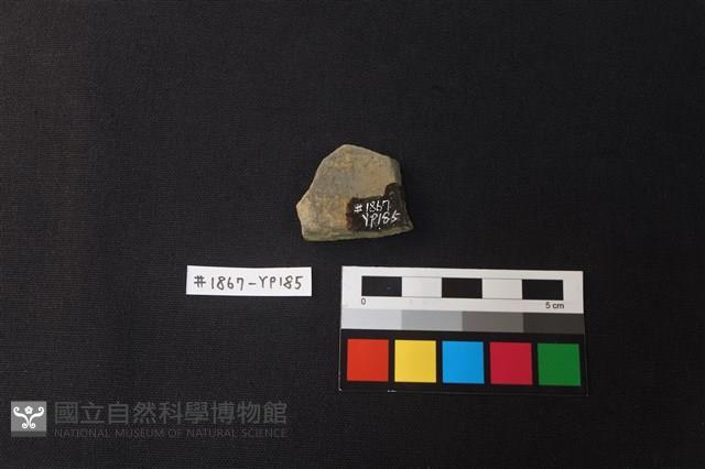 陶片藏品圖，第2張