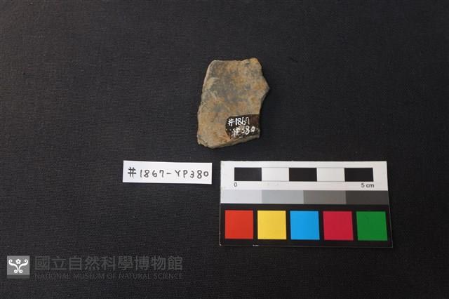 陶片藏品圖，第2張