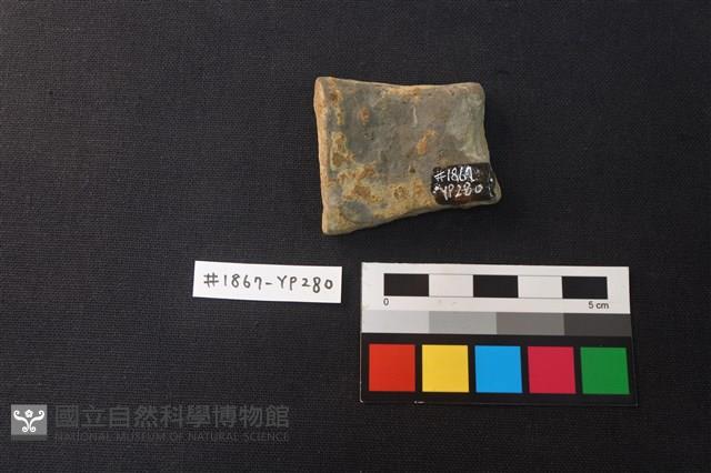 Accession Number:YP280 Collection Image