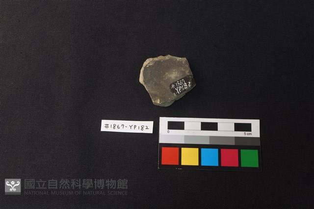 陶片藏品圖，第2張