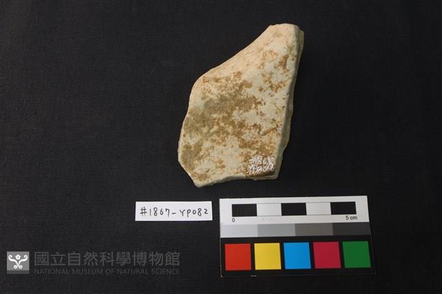 陶片藏品圖，第2張