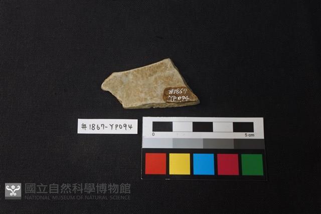 陶片藏品圖，第2張
