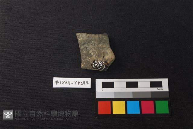 陶片藏品圖，第2張