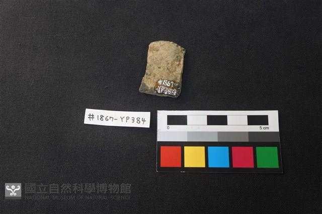 陶片藏品圖，第2張