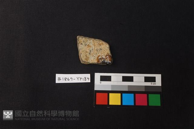 陶片藏品圖，第2張