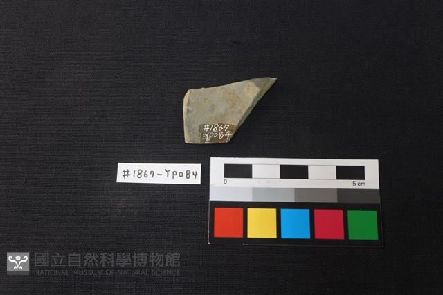 陶片藏品圖，第2張