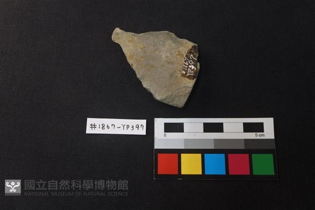 陶片藏品圖，第2張
