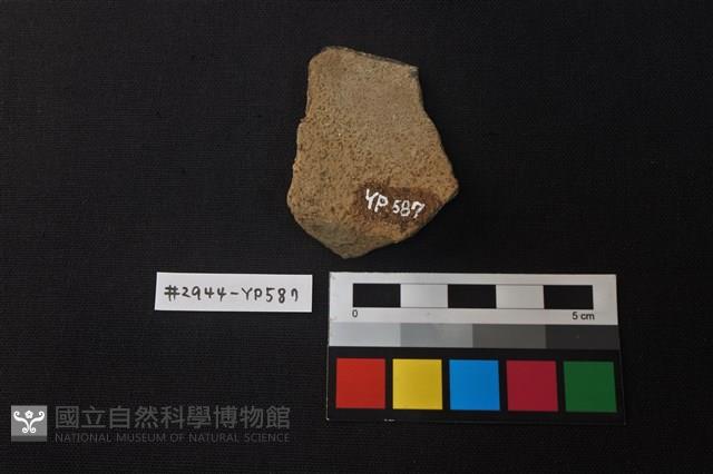 陶片藏品圖，第2張