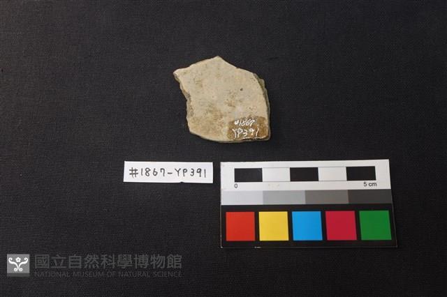陶片藏品圖，第2張