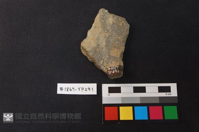陶片藏品圖，第2張