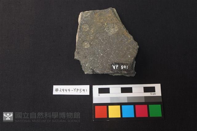 陶片藏品圖，第2張