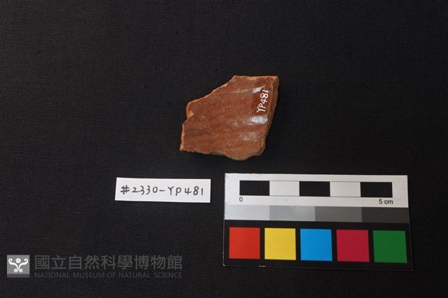 陶片藏品圖，第2張