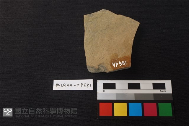 陶片藏品圖，第2張