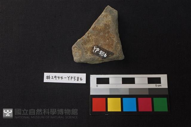 陶片藏品圖，第2張