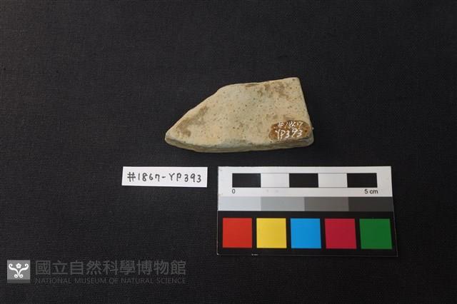 陶片藏品圖，第2張