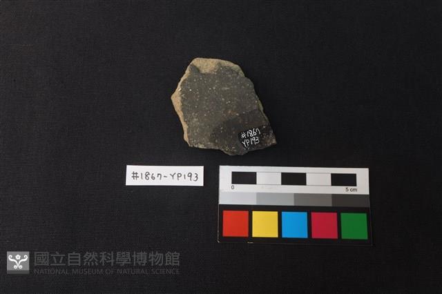 陶片藏品圖，第2張