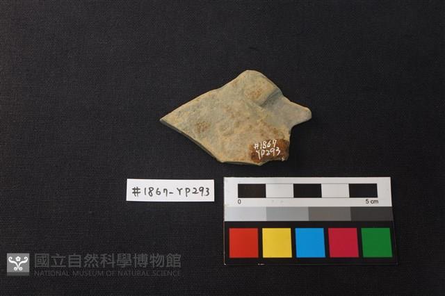 陶片藏品圖，第2張