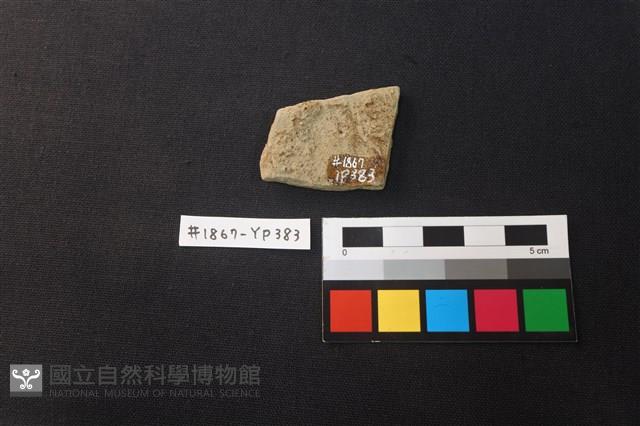 陶片藏品圖，第2張