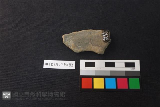 陶片藏品圖，第1張