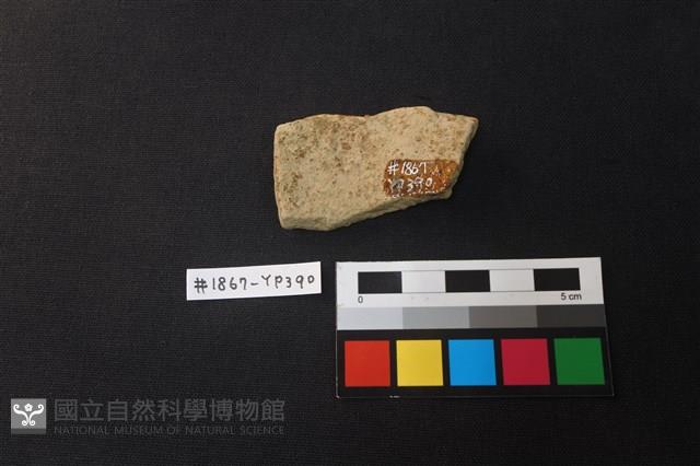 陶片藏品圖，第2張