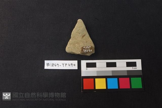 陶片藏品圖，第2張