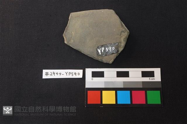 陶片藏品圖，第2張