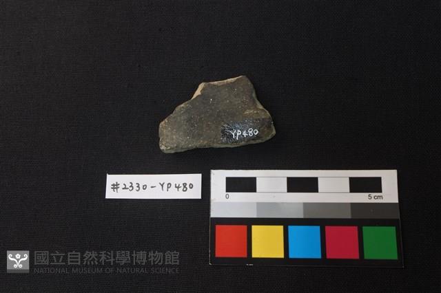 陶片藏品圖，第2張