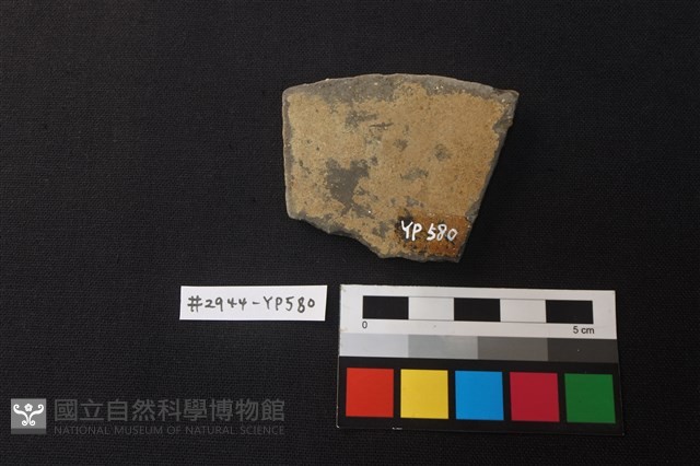 陶片藏品圖，第2張