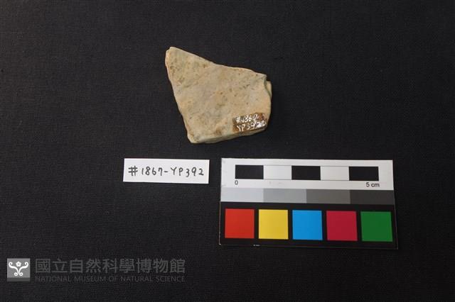 陶片藏品圖，第2張