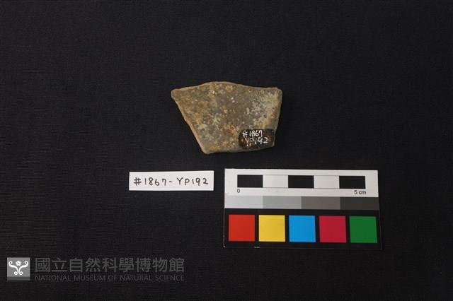 陶片藏品圖，第2張