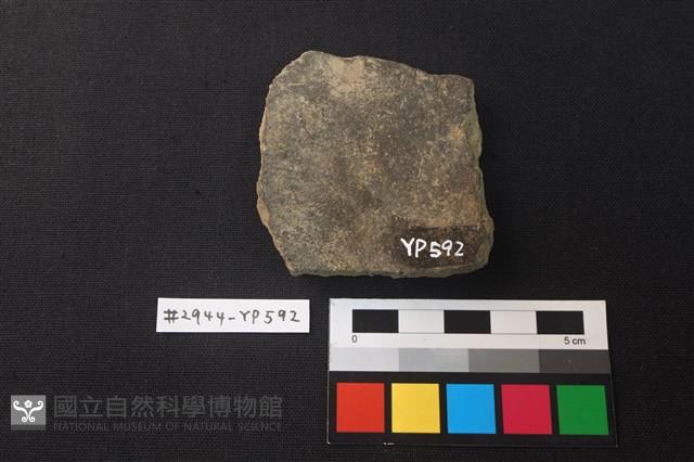 陶片藏品圖，第2張