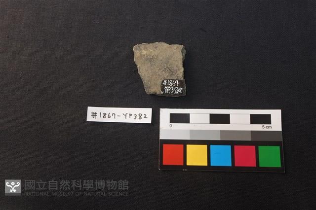 陶片藏品圖，第2張