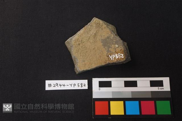 陶片藏品圖，第2張