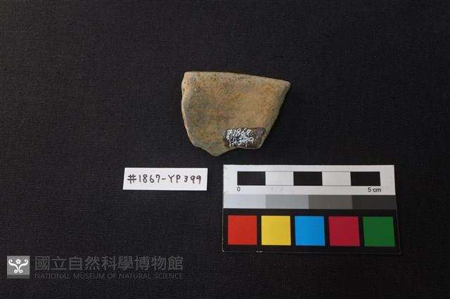 陶片藏品圖，第2張