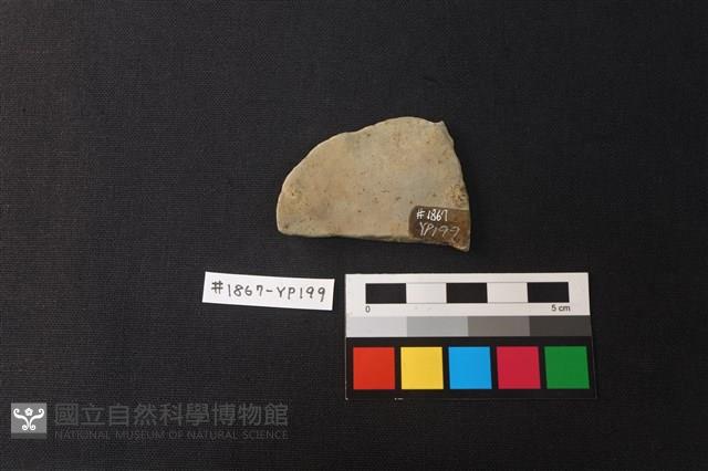 陶片藏品圖，第2張