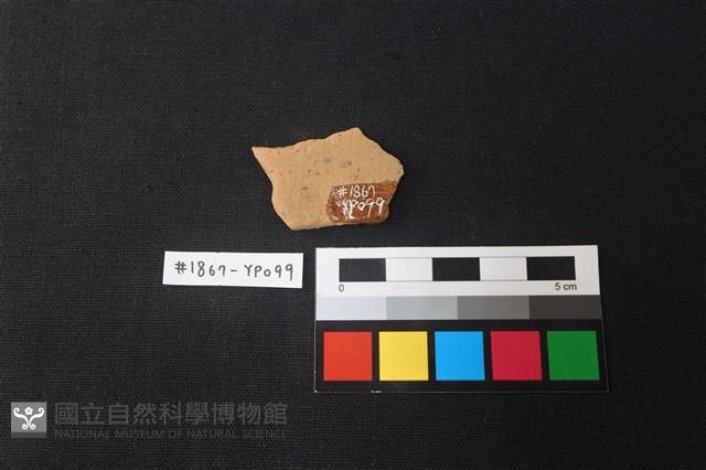 陶片藏品圖，第2張