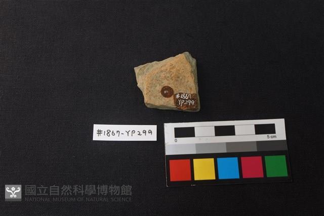 陶片藏品圖，第2張