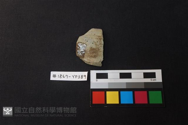 陶片藏品圖，第2張